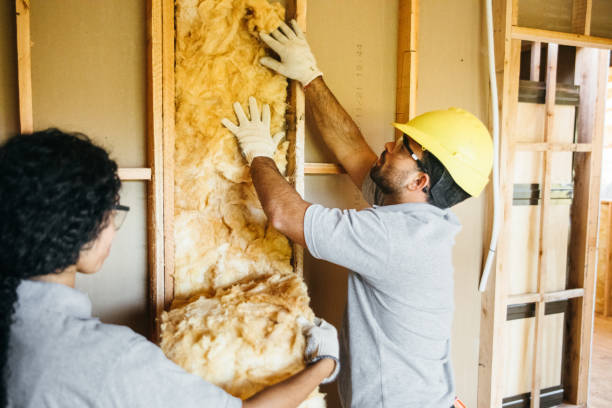 Eco-Friendly Insulation Solutions in Mount Hermon, VA